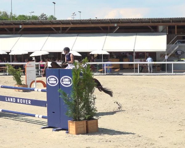 Reitturnier Münsingen 2019