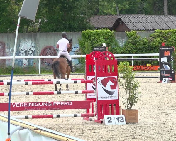 Reitturnier Münsingen 2019