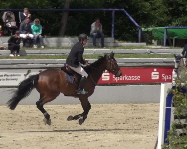 Reitturnier Zeiskam 2019