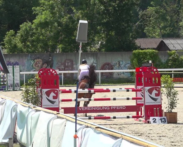 Reitturnier Münsingen 2019