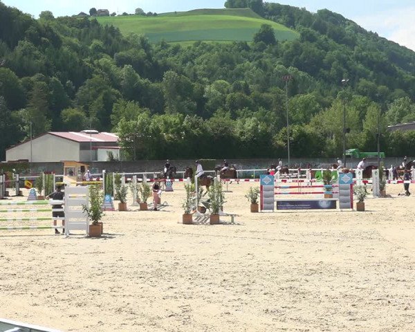 Reitturnier Münsingen 2019