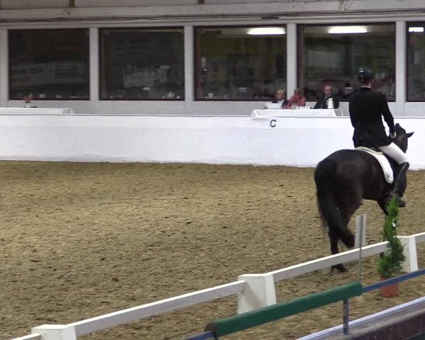 Reitturnier Borken 2019