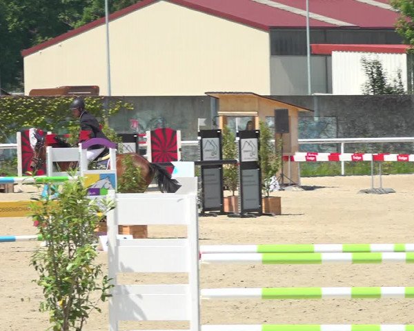 Reitturnier Münsingen 2019