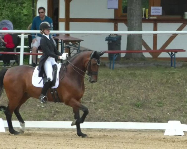 Reitturnier Nußloch 2019