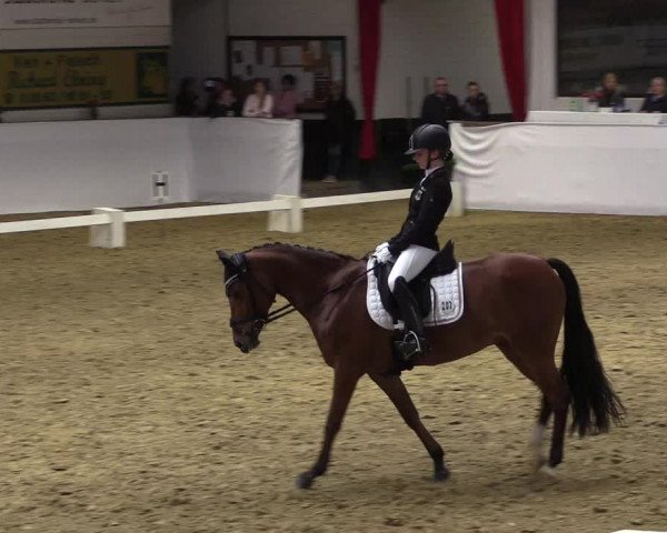 Reitturnier Borken 2019