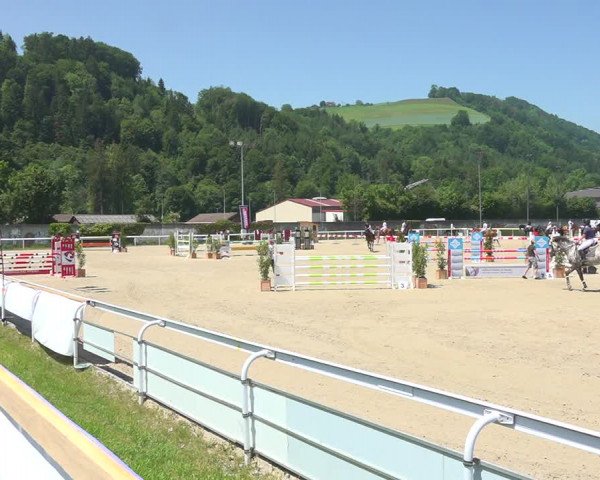 Reitturnier Münsingen 2019