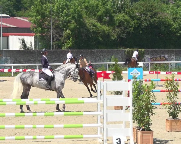 Reitturnier Münsingen 2019