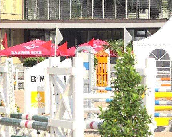 Reitturnier Zug 2019
