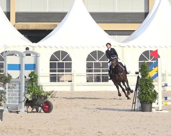 Reitturnier Zug 2019