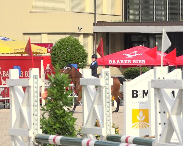 Reitturnier Zug 2019