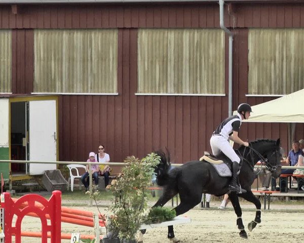 Reitturnier Herxheim 2019