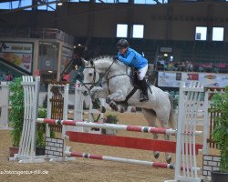 jumper Careless 2 (Oldenburg show jumper, 2006, from Berlin)