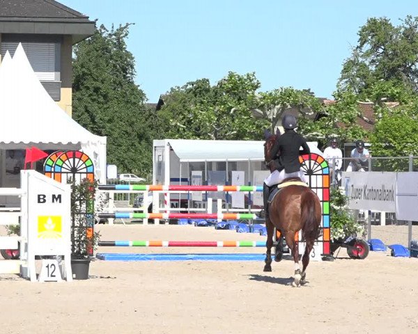 Reitturnier Zug 2019