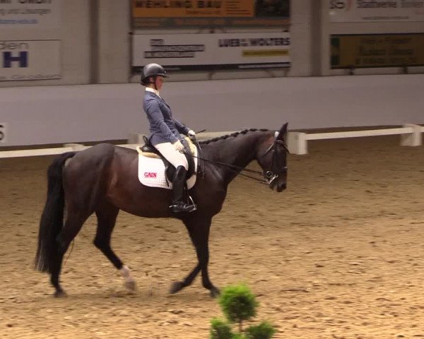 Reitturnier Borken 2019