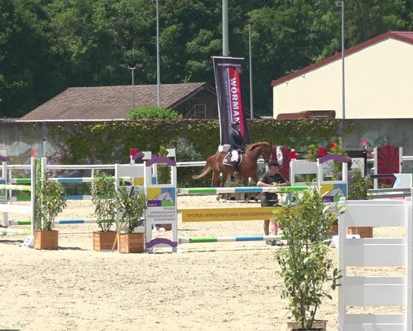 Reitturnier Münsingen 2019