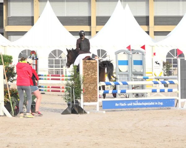 Reitturnier Zug 2019