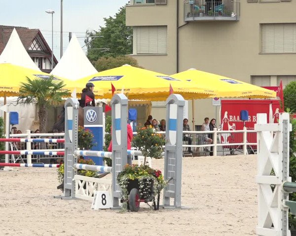 Reitturnier Zug 2019