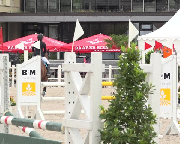 Reitturnier Zug 2019