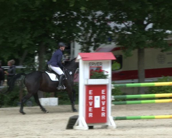 Reitturnier Bochum-Nord 2019
