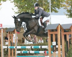 dressage horse Da Capo 191 (Westphalian, 2005, from Danny de Vito 2)