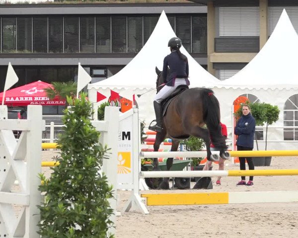 Reitturnier Zug 2019