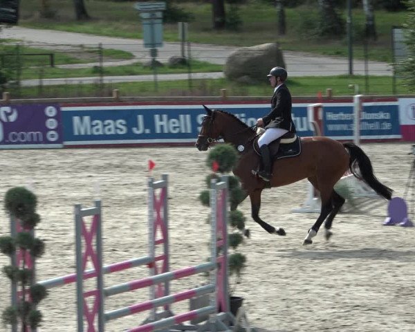 Reitturnier Westergellersen 2021