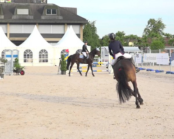 Reitturnier Zug 2019