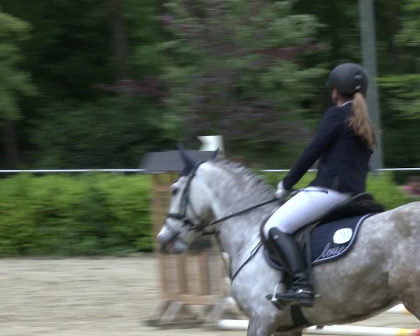 Reitturnier Bochum-Nord 2019