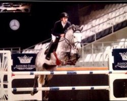 jumper Indigo van Orshof (Belgian Warmblood, 2008, from Winningmood van de Arenberg)