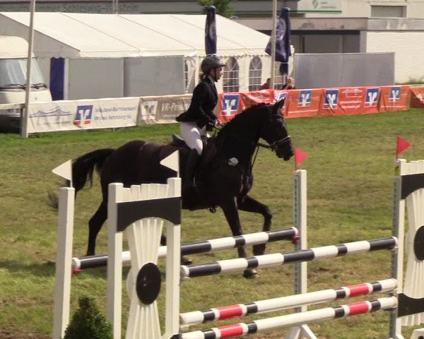 Reitturnier Rendsburg 2019