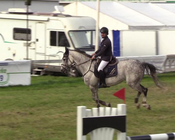 Reitturnier Rendsburg 2019