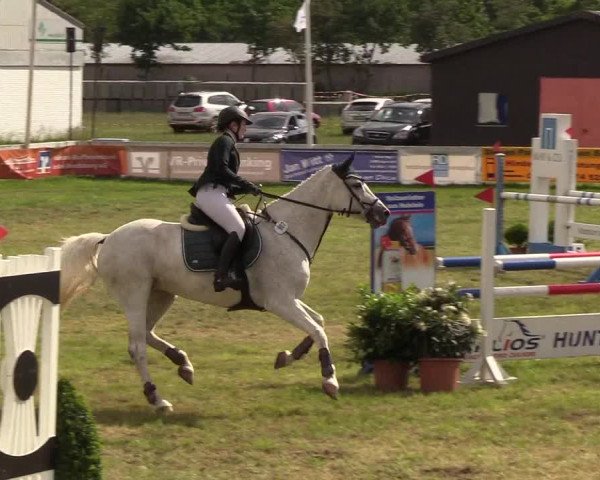 Reitturnier Rendsburg 2019