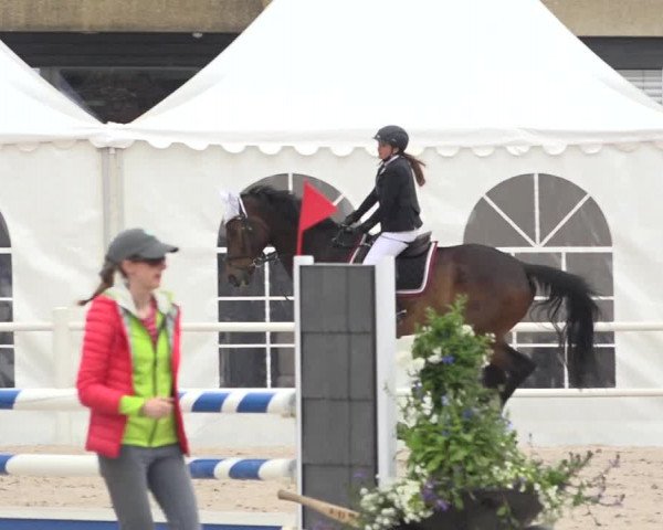 Reitturnier Zug 2019