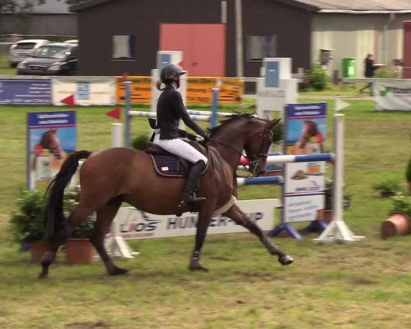 Reitturnier Rendsburg 2019