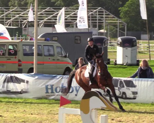 Reitturnier Rendsburg 2019
