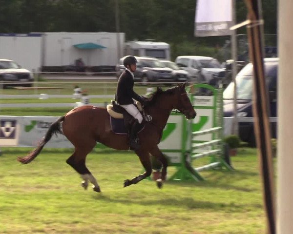 Reitturnier Rendsburg 2019