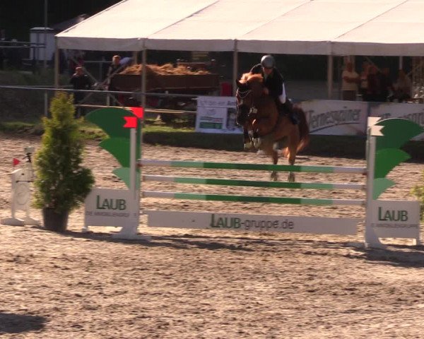 Reitturnier Lgl.-Oberhain, B95 2019