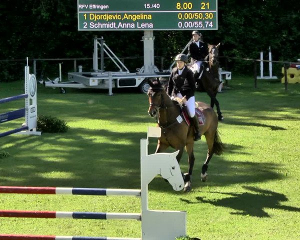 Reitturnier Jettingen 2019