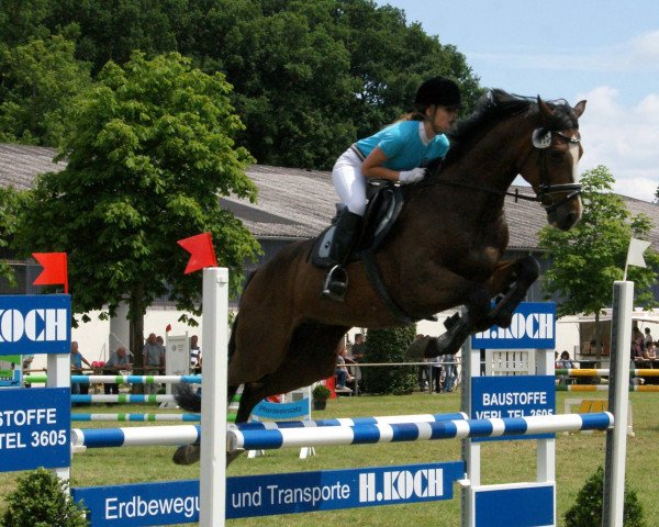 jumper Quantum 11 (Westphalian, 2008, from Quality 9)