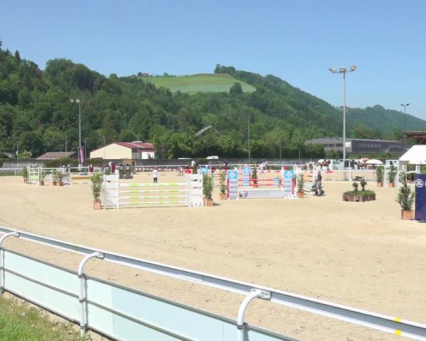 Reitturnier Münsingen 2019