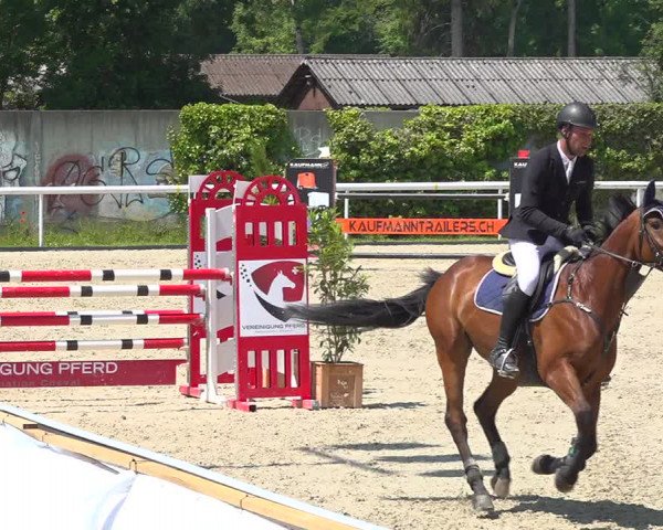 Reitturnier Münsingen 2019