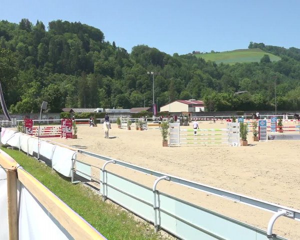 Reitturnier Münsingen 2019