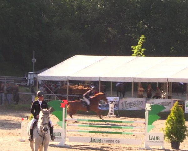 Reitturnier Lgl.-Oberhain, B95 2019