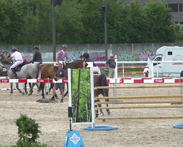 Reitturnier Münsingen 2019