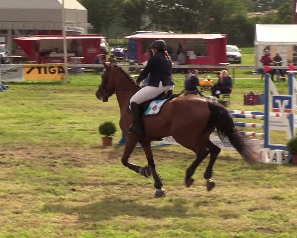 Reitturnier Rendsburg 2019