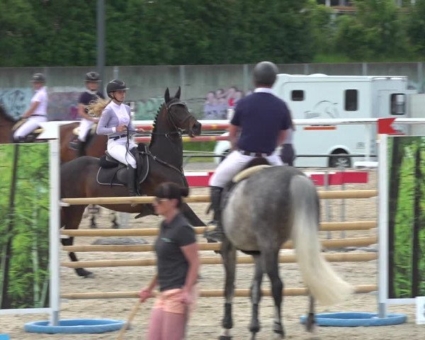 Reitturnier Münsingen 2019