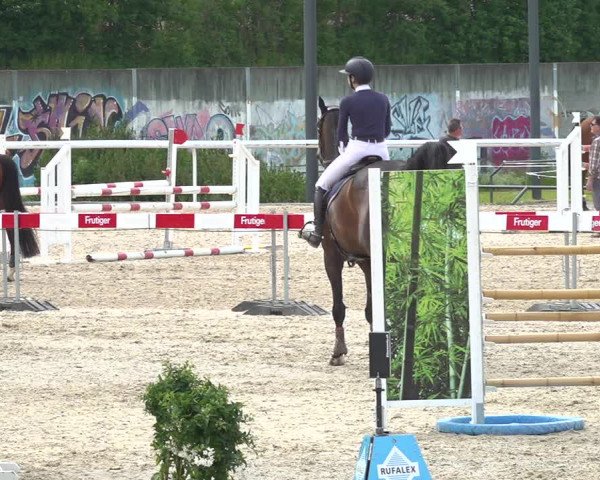 Reitturnier Münsingen 2019