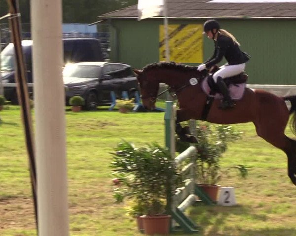 Reitturnier Rendsburg 2019