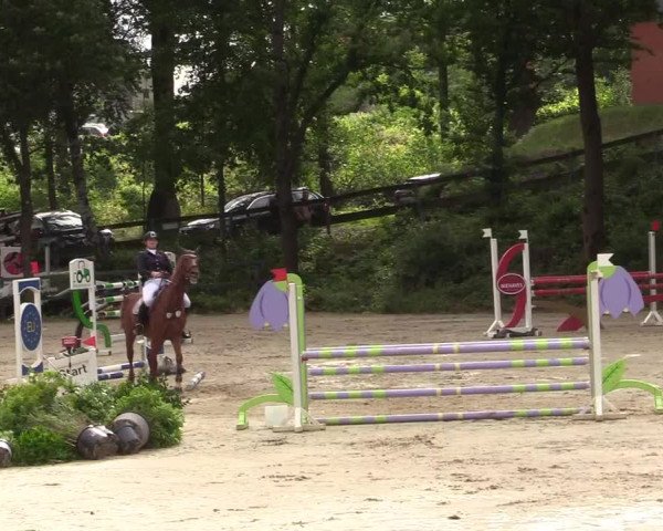 Reitturnier Iserlohn-Kalthof 2019