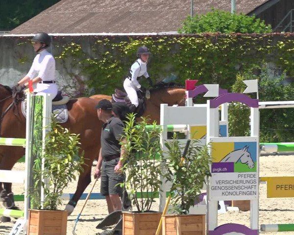 Reitturnier Münsingen 2019